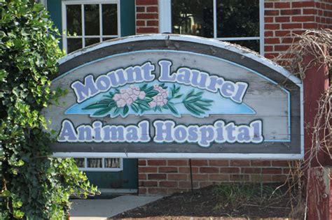 Mount laurel animal hospital mt laurel nj - Mount Laurel Animal Hospital. Save My Vet. CareCredit. 220 Mt Laurel Rd, Mt Laurel Township, NJ 08054, USA. (856) 234-7626. Visit website.